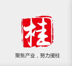 聚焦產(chǎn)業(yè)，努力援桂